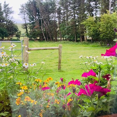 Glen Keen Farm Cottage Louisburgh Εξωτερικό φωτογραφία
