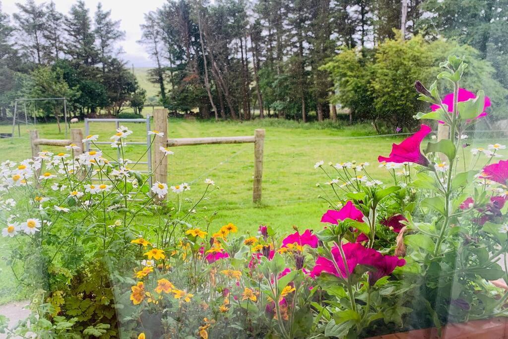 Glen Keen Farm Cottage Louisburgh Εξωτερικό φωτογραφία